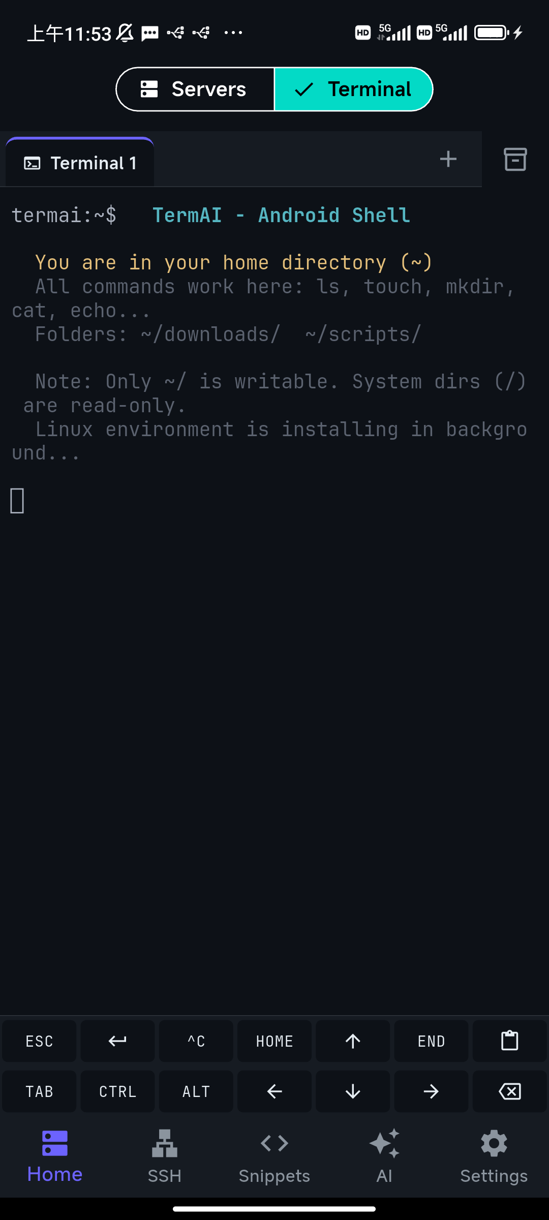 TermAI's built-in local Linux (Alpine) terminal on Android, with a writable home directory